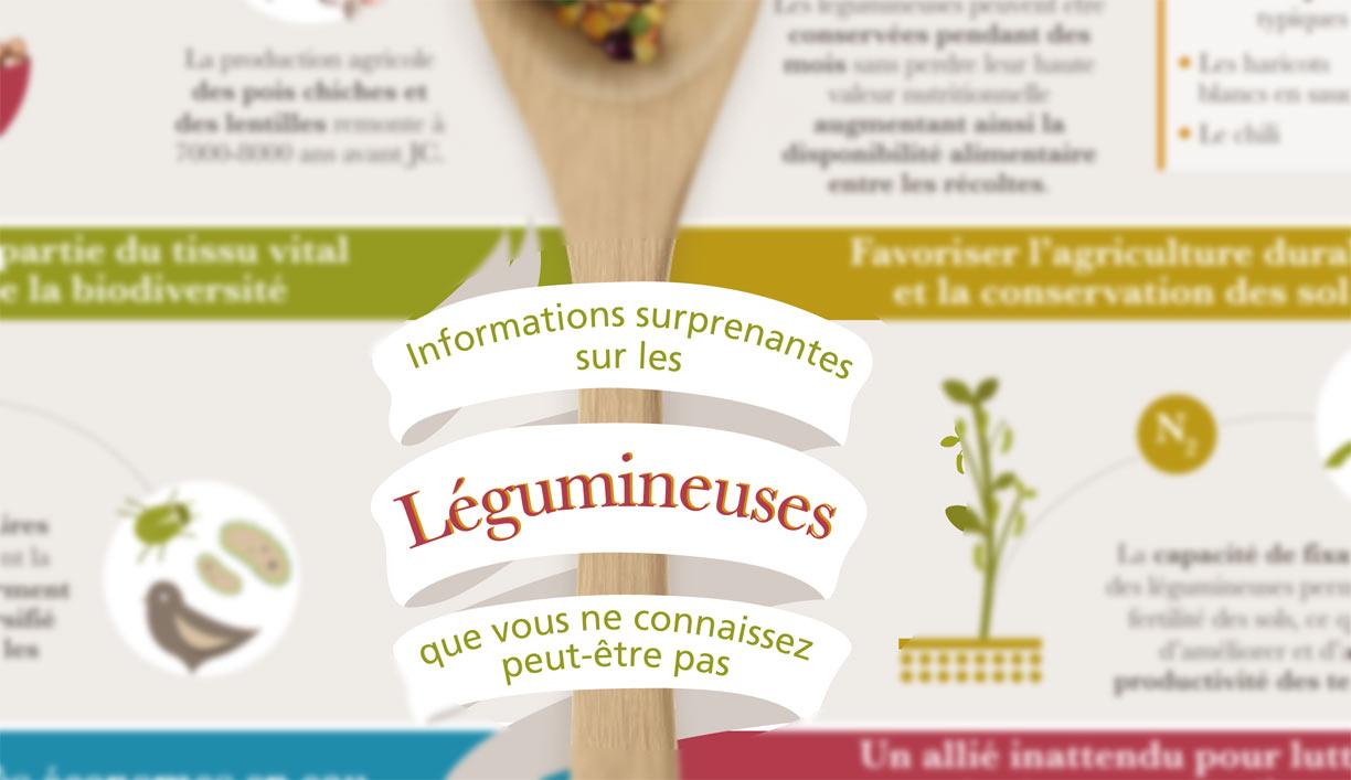 Informations sur les légumineuses