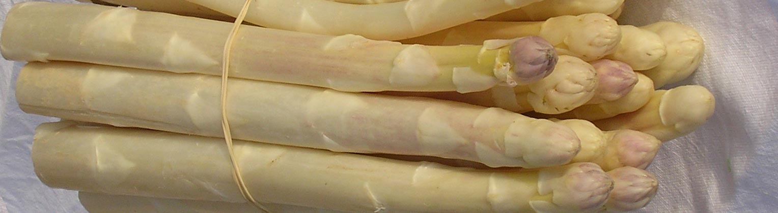 asperges