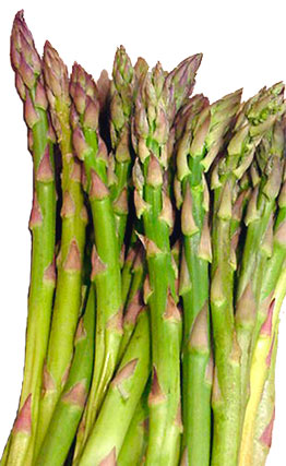 asperge verte asperges vertes