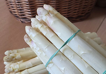 L’ asperge, si fine si délicate ! L’ asperge, si fine si délicate !