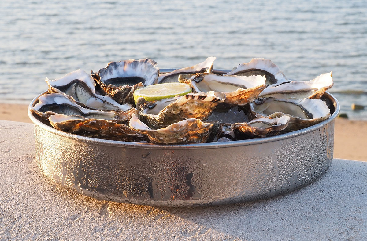 Le moule à manqué en inox fait ici office de plat de présentation pour les huitres