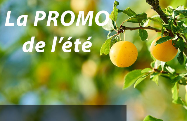 Notre offre promo de cet été